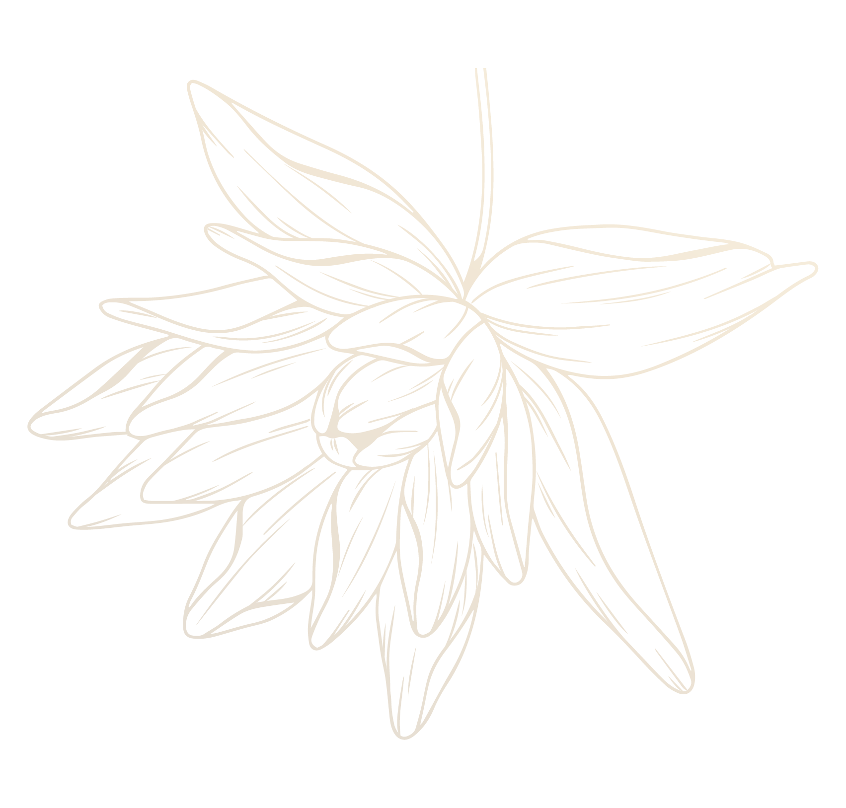 Decorative flower design